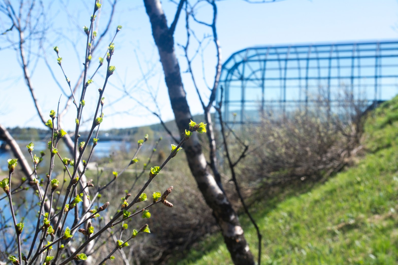 Critical Arctic Studies  –  A short introduction to the idea and its&nbsp;background