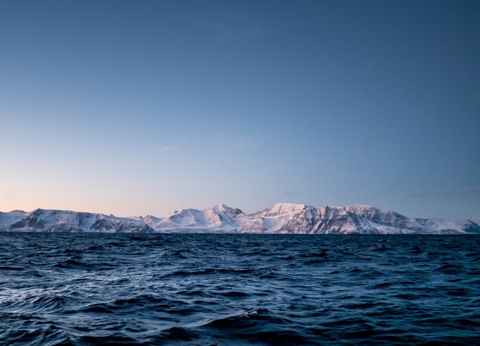 A tale of an Arctic cod